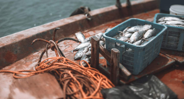 The deck of the fishing-boat with two teal boxes with a fresh tuna fish catch, long crumpled orange rope and the anchor, sea water with bokeh overboard; shallow depth of field