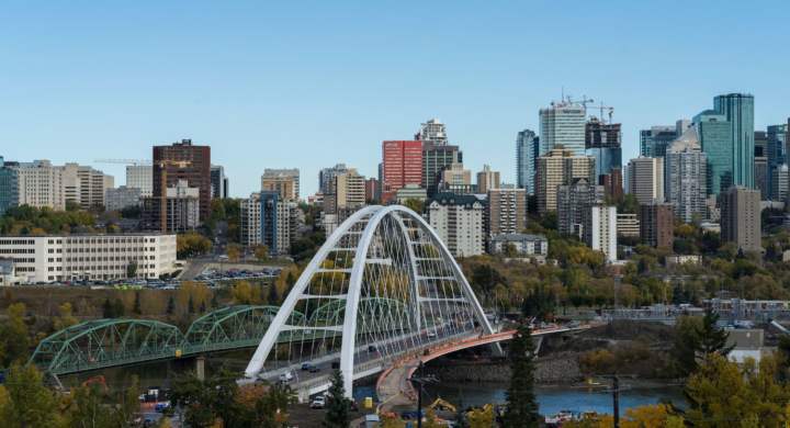 A bird's eye view of trees with a background of the Edmonton cityscape
