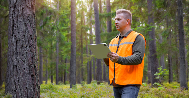 forestry worker in the forest holding a tablet