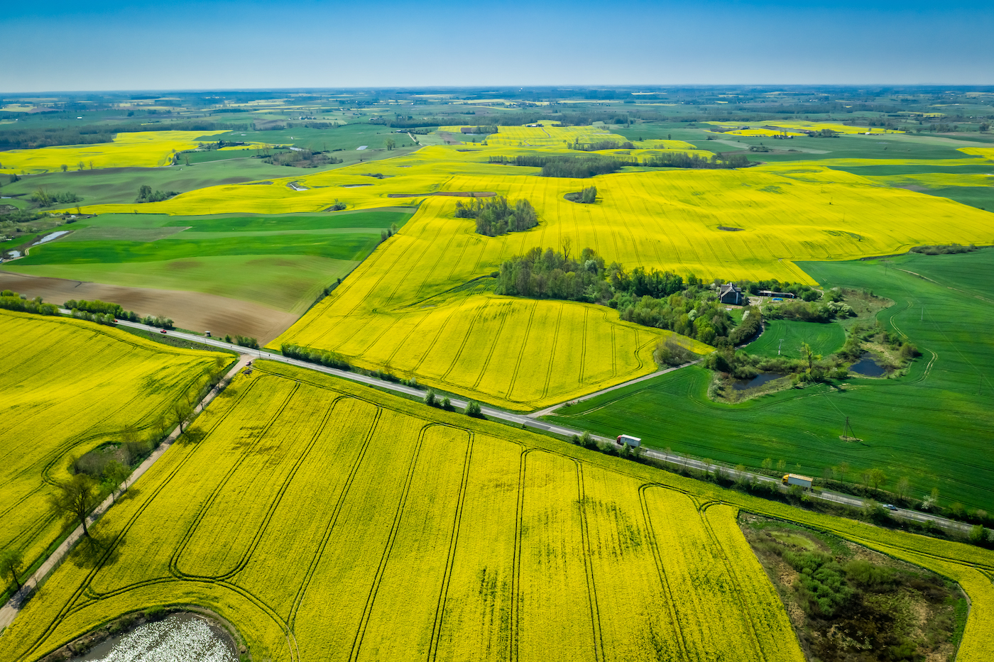 Green and yellow rape fields in the spring, aerial view