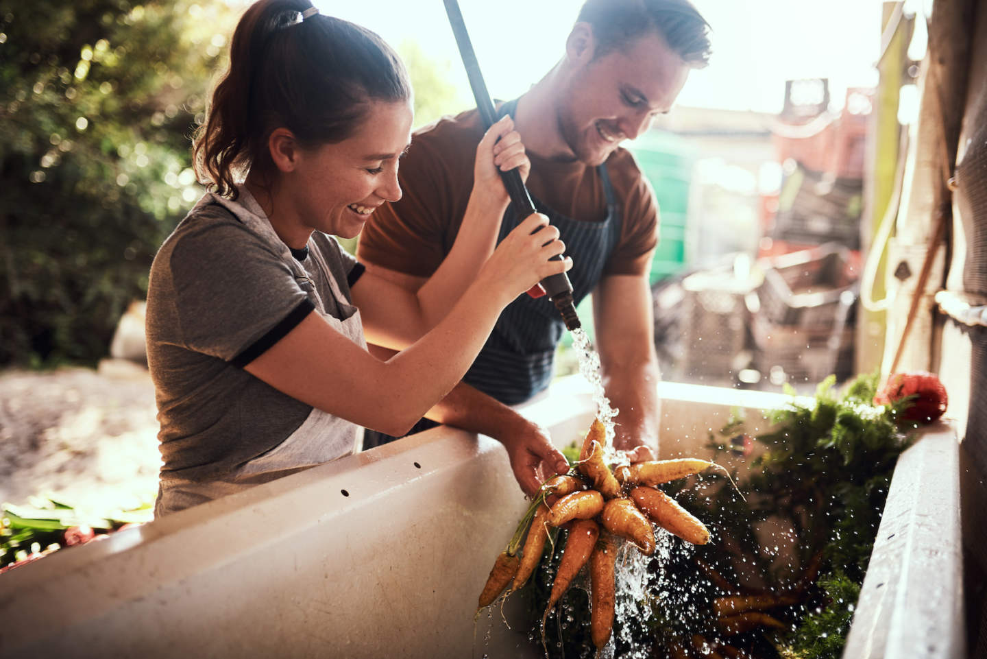 Shot of a happy young couple cleaning and preparing a bunch of freshly picked carrots at their farm.