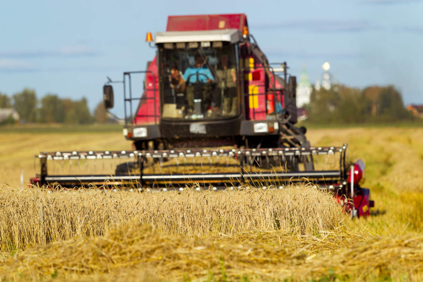 Wheat field, agricultural machinery for harvesting