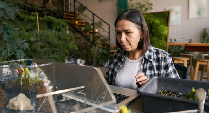 Woman in plaid shirt sitting by the table with tulips in flower pot on it and looking at laptop