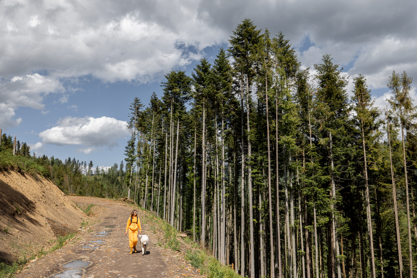 Young person in orange sports suit and backpack walks with her dog on the mountain path in pine forest, side view. Concept of traveling in the mountains