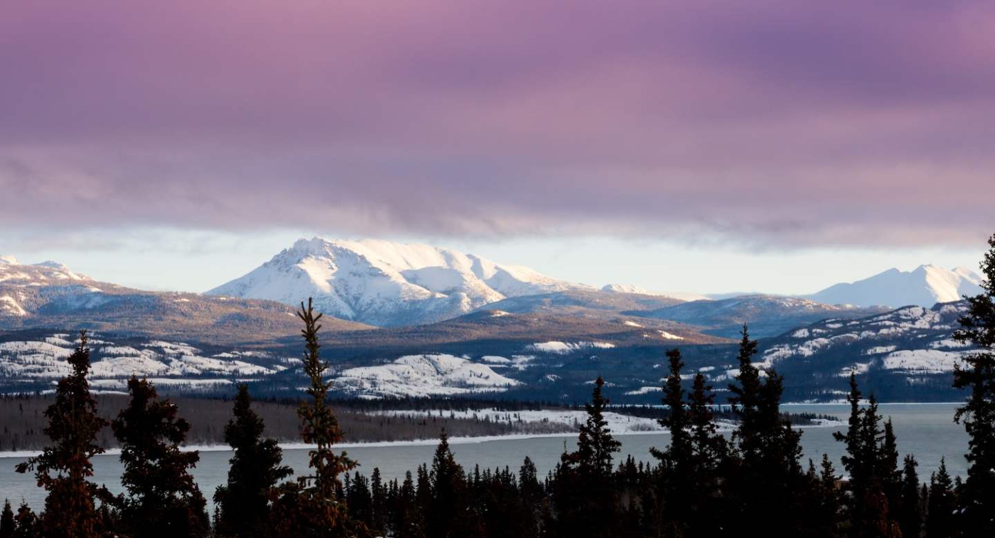 Pink winter clouds landscape in early winter over Lake Laberge, Yukon Territory, Canada