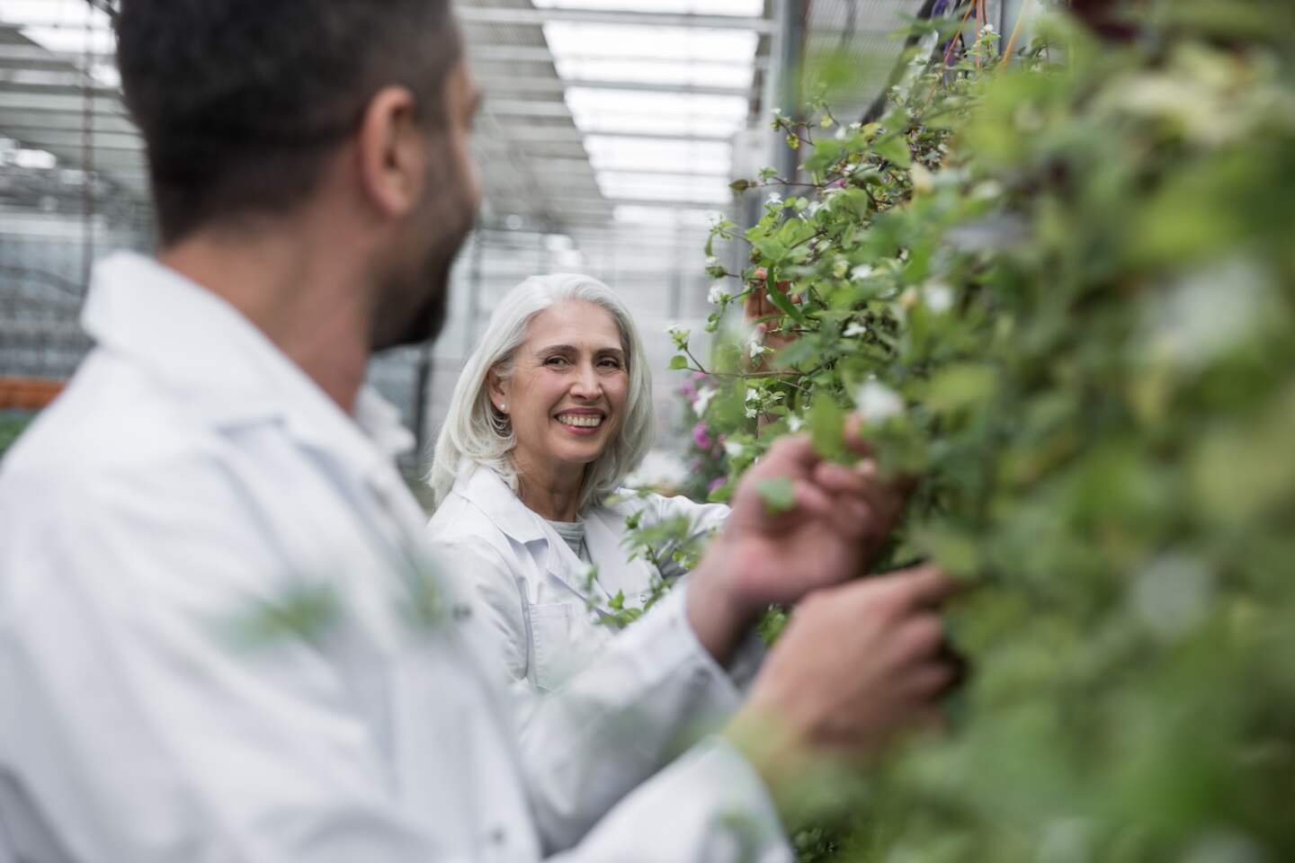 Picture of handsome young man and mature woman standing in greenhouse near plants. Looking aside.