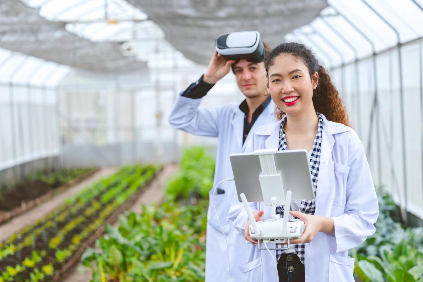 Researcher using drone controller with fly view glasses monitor plant growing in Agriculture farm.