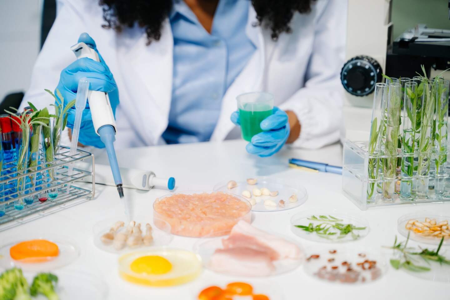 Food science as lab scientists test and analyze vegetables for safety and quality using advanced technology and precise equipment. in lap