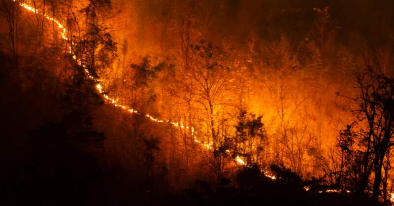 wildfire