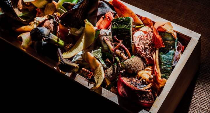 Material for composting food waste and turning it into nutrient-rich soil for plants.