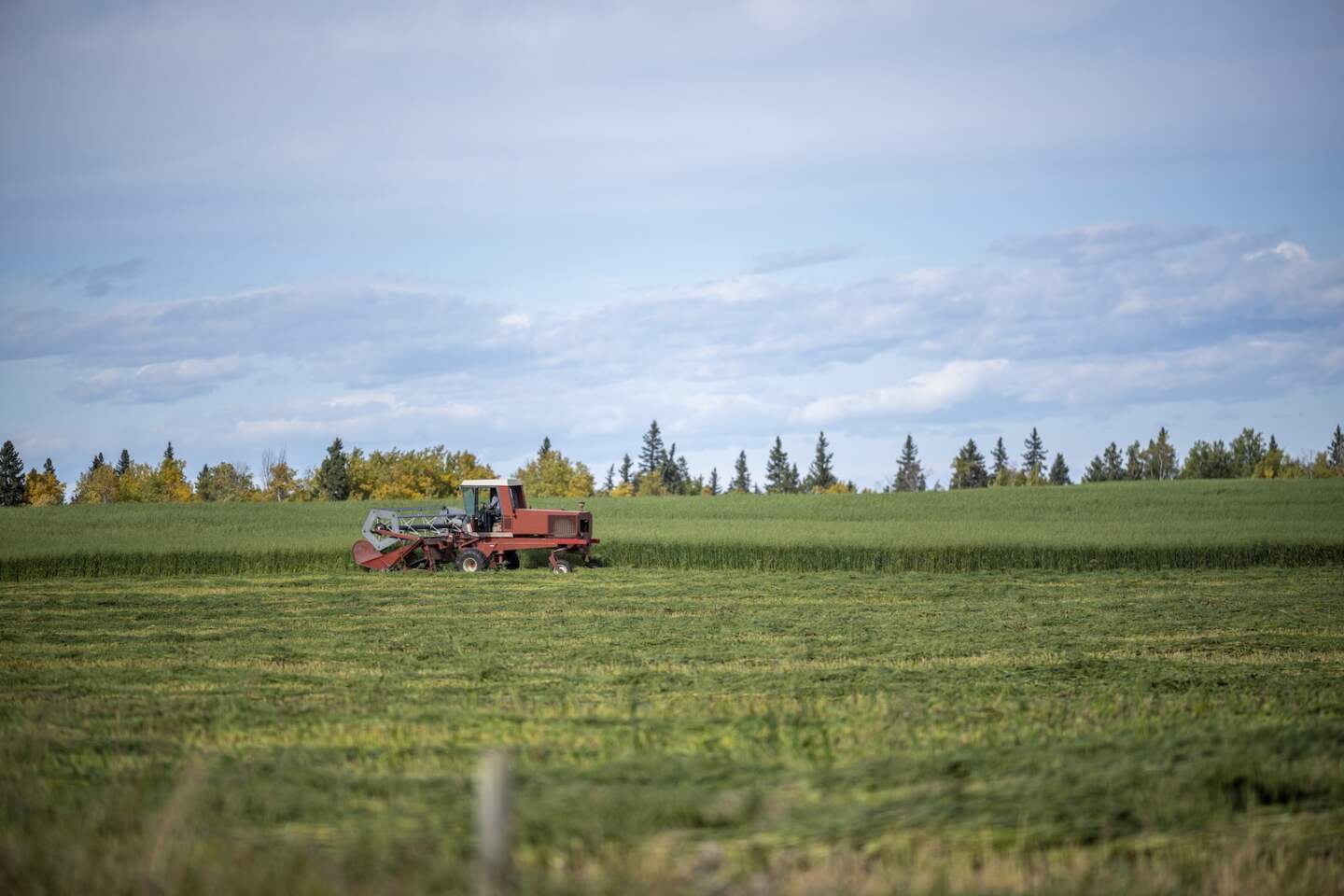 A red tractor on a bright green field under a blue sky in Clearwater, Canada